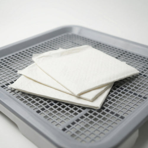 Prémium nedvszívó kutyapelenka 50 darabos kiszerelésben, fehér színben, kék szegéllyel.